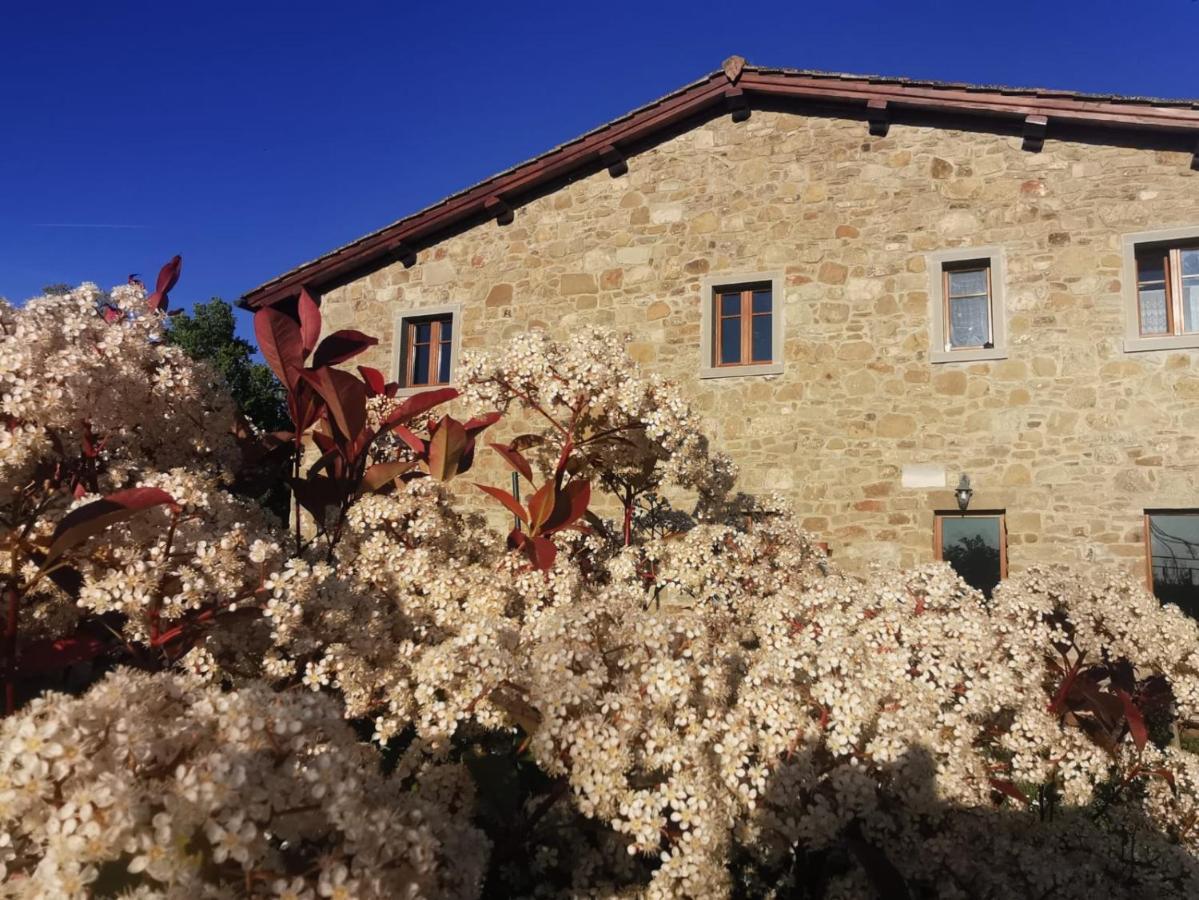 Il Cerro Hostal Pelago Exterior foto