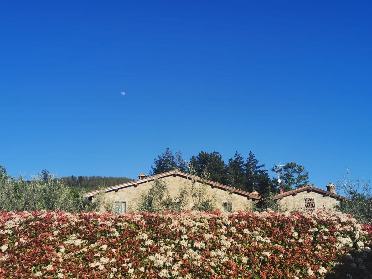 Il Cerro Hostal Pelago Exterior foto